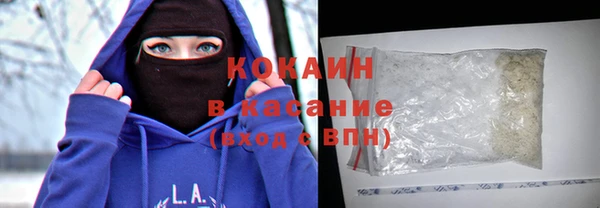 PSILOCYBIN Алзамай