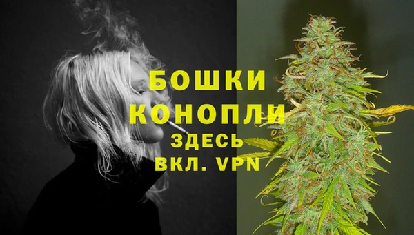 PSILOCYBIN Алзамай