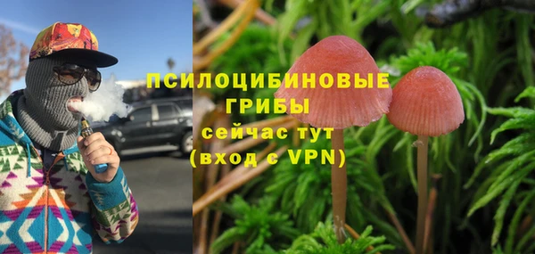 спайс Алексеевка